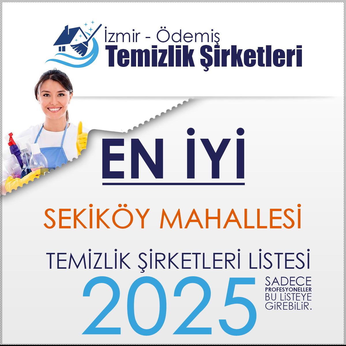 Sekiköy Mahallesi Temizlik Şirketleri
