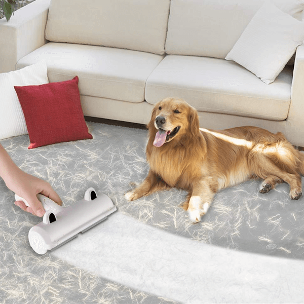 Evcil Hayvan Tüyü Nasıl Temizlenir? : Kapak Görseli